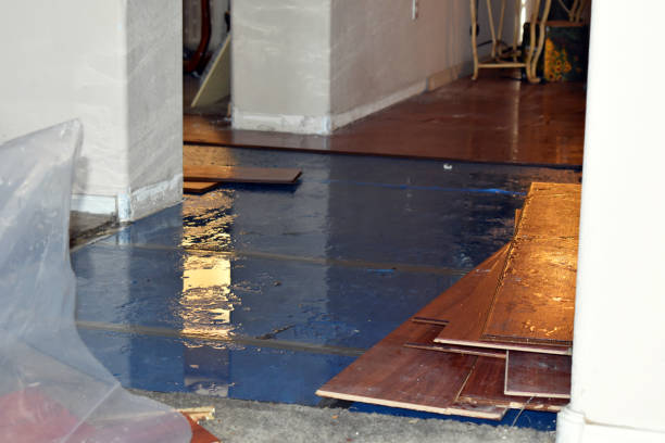 Professional Sewage Cleanup technician working in Isle Saint George, OH